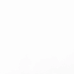 Blanco_Icon